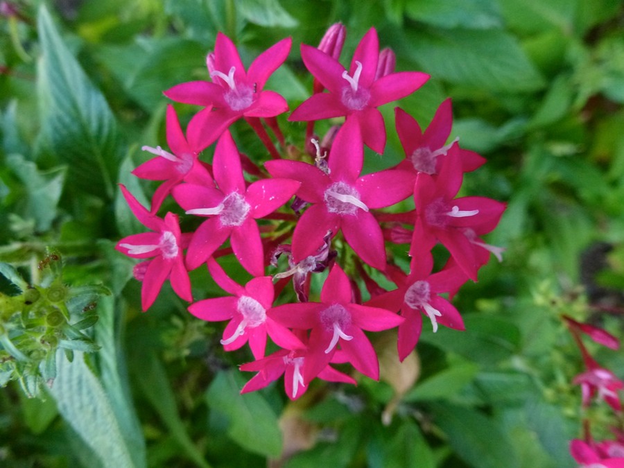 120403 Clubbesuch RC S- Denis Alizes 397