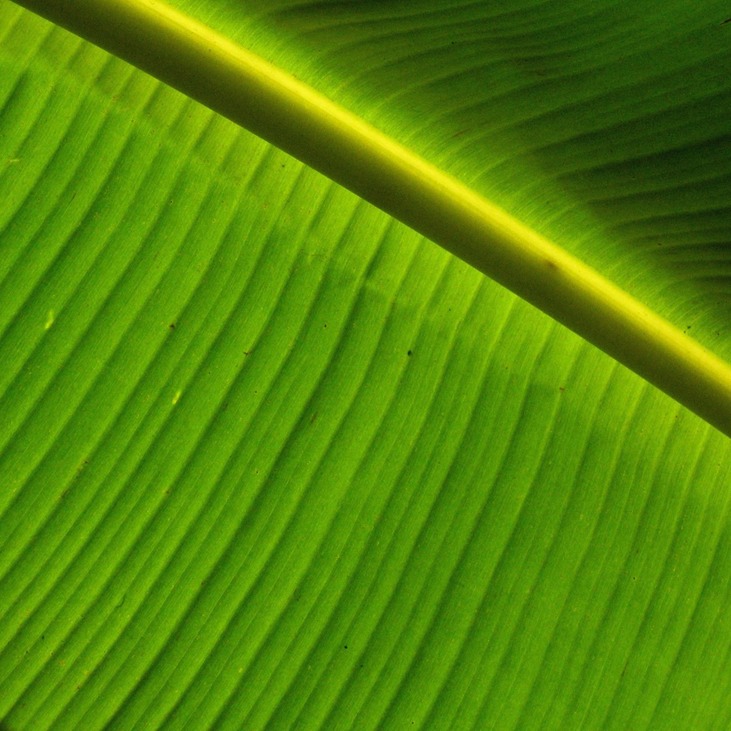 2010 248 - Arbeitskopie 2