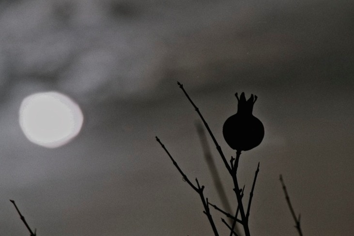 2010 798 - Arbeitskopie 2