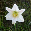 Antsirabe 182 - Arbeitskopie 2