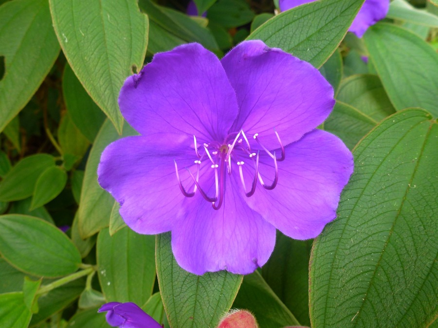 Auzocrash in Tampon 079