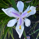 Blue Lagoon Meeting RC Vacoas 139 - Arbeitskopie 2