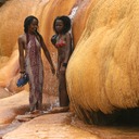 Chute de Lily Platform de la vierge 128 - Arbeitskopie 2