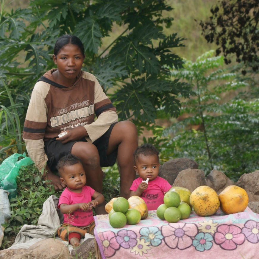 Chute de Lily Platform de la vierge 038 - Arbeitskopie 2