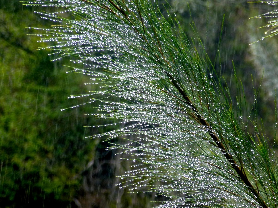 Cilaos 153 - Arbeitskopie 2