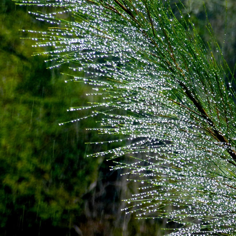 Cilaos 153 - Arbeitskopie 3