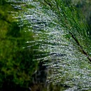 Cilaos 153 - Arbeitskopie 3