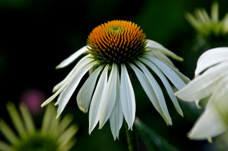 DSC00242 - Arbeitskopie 3