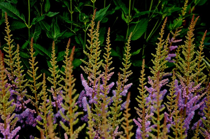 DSC00247 - Arbeitskopie 2