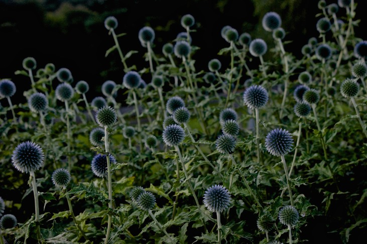 DSC00254 - Arbeitskopie 2