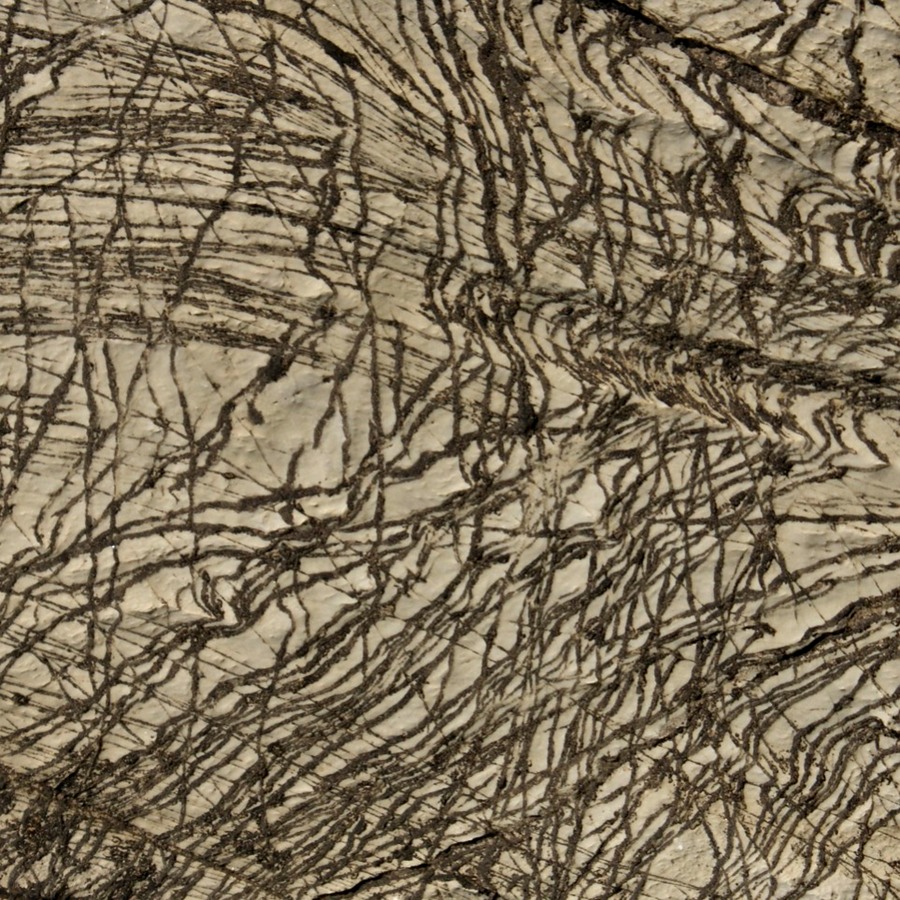 DSC09712 - Arbeitskopie 3.jpg