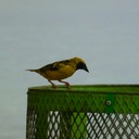 Ecole Handicapées Homediner 171 - Arbeitskopie 2