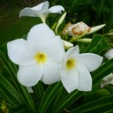 Ecole Handicapées Homediner 120 - Arbeitskopie 2