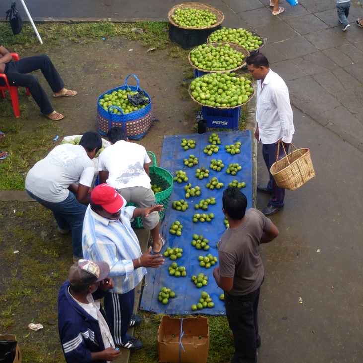 Feldspaziergang + Indische Hochzeit 032 - Arbeitskopie 2