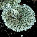 Heliluftbilder Piton Maido 500 - Arbeitskopie 2