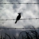 Kläranlage Zuckerfabrik Vacoas 167 - Arbeitskopie 2