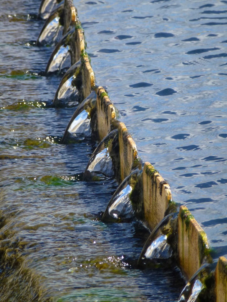Kläranlage Zuckerfabrik Vacoas 092