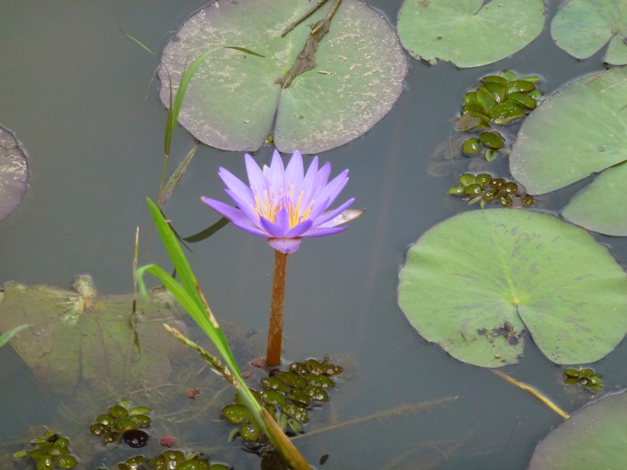 Letzter Tag in Tana 006