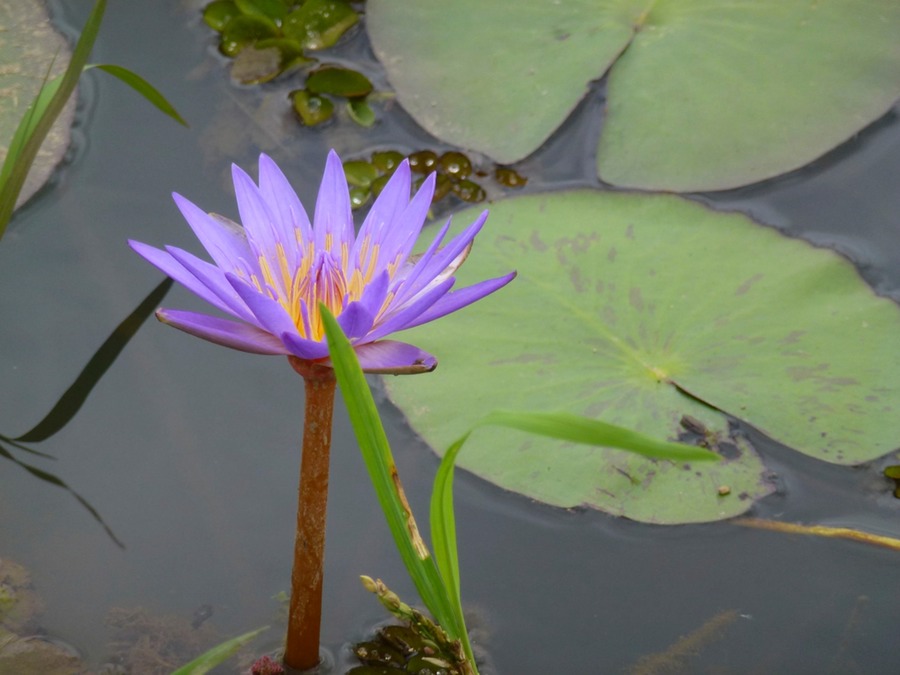 Letzter Tag in Tana 009