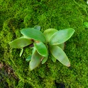 Maurice Recyling Golfclub 003 - Arbeitskopie 2