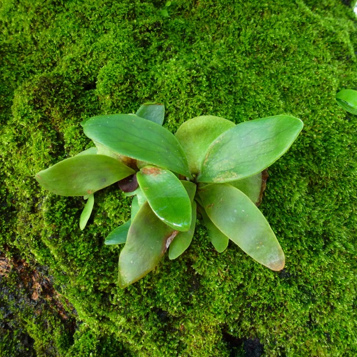 Maurice Recyling Golfclub 003 - Arbeitskopie 2