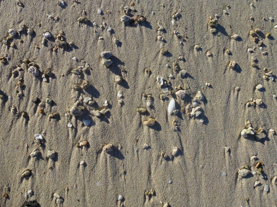 Mauritius Nordwesttour Vinedistillery 070