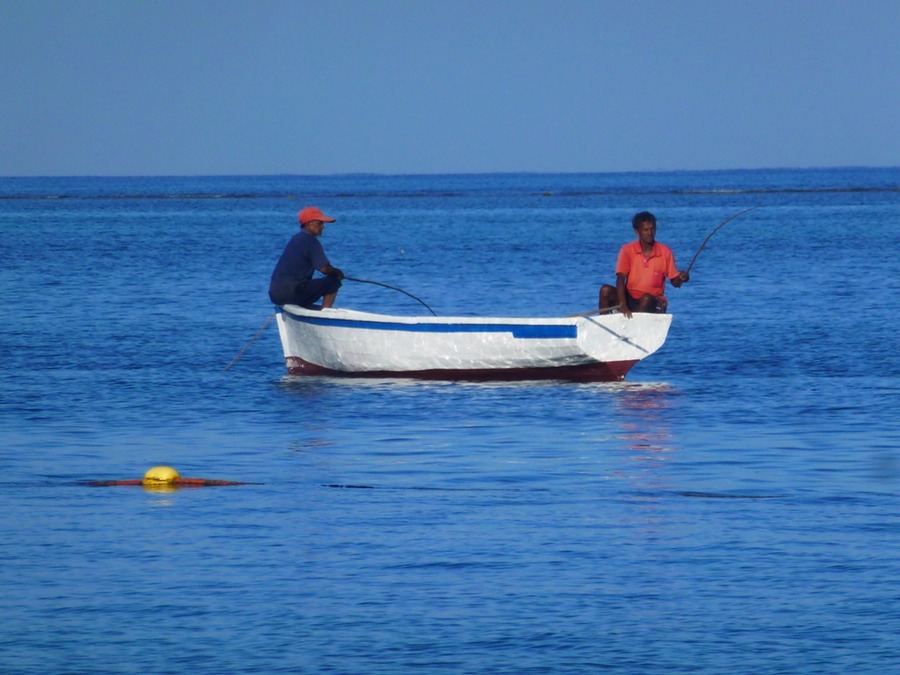 Mauritius Nordwesttour Vinedistillery 069