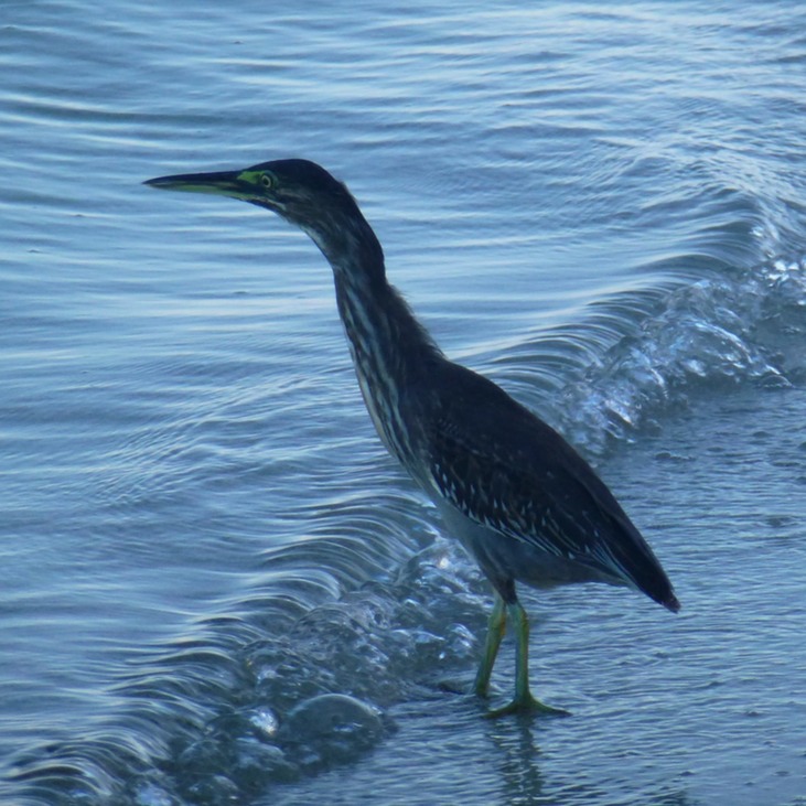 Mauritius Nordwesttour Vinedistillery 048 - Arbeitskopie 2
