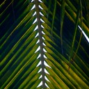 Mauritius Nordwesttour Vinedistillery 271 - Arbeitskopie 2