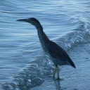 Mauritius Nordwesttour Vinedistillery 048 - Arbeitskopie 2