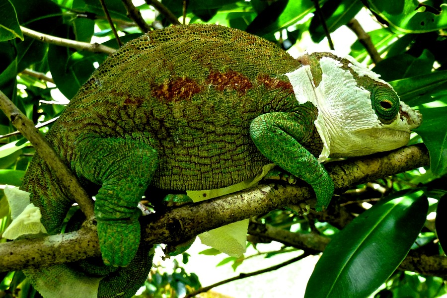 Naturreservat Andisabe 161 - Arbeitskopie 2