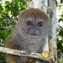 Naturreservat Andisabe 233 - Arbeitskopie 3