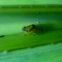 Naturreservot Andisabe 049 - Arbeitskopie 2