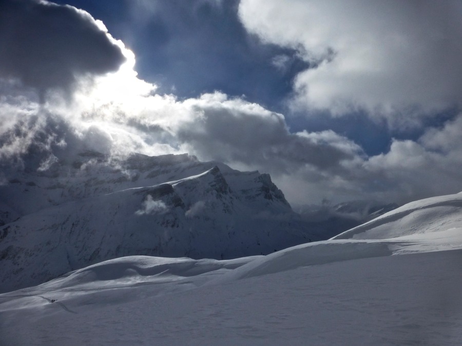 P1000345 - Arbeitskopie 2