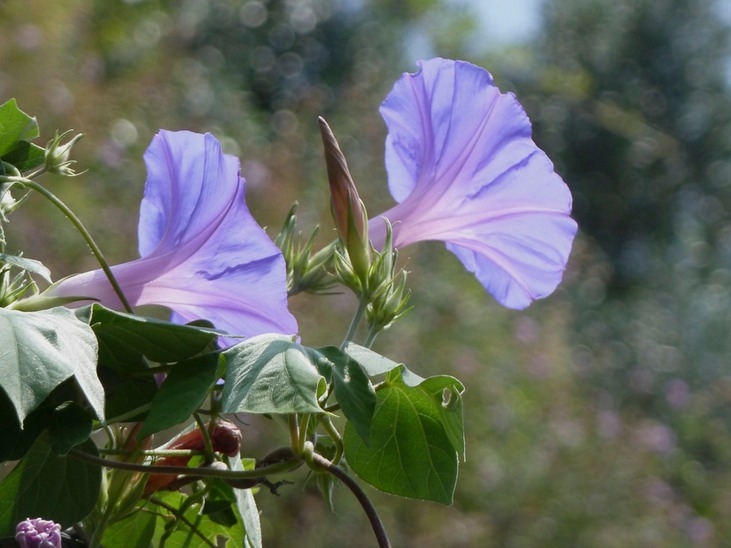 P1020313 - Arbeitskopie 2