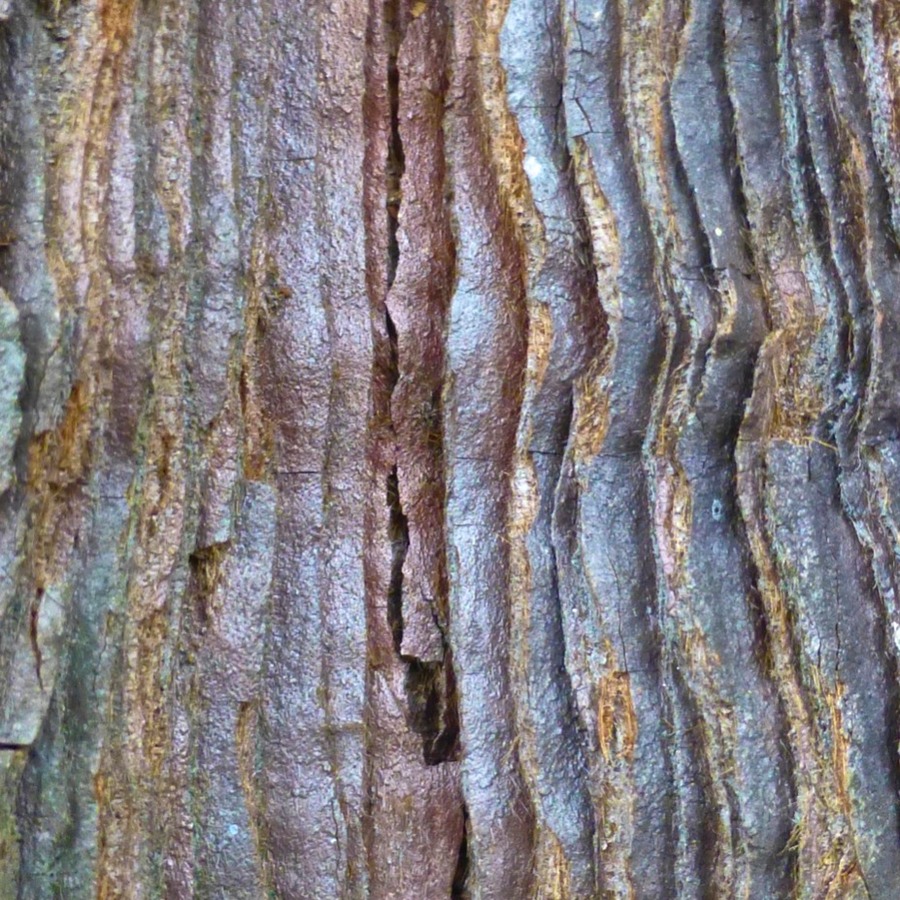 P1030068 - Arbeitskopie 2.jpg