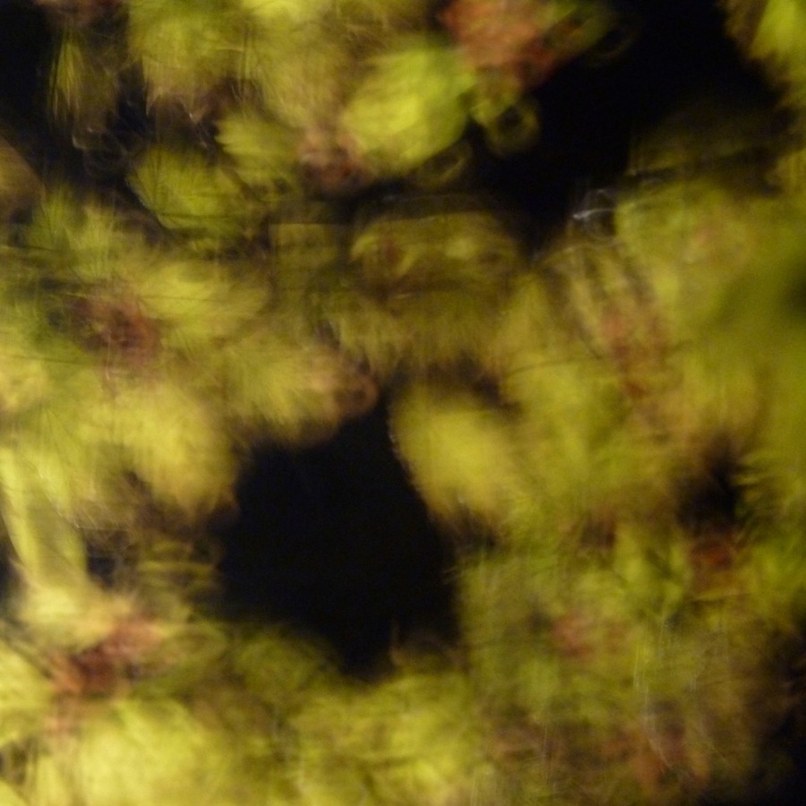 P1040608 - Arbeitskopie 3.jpg