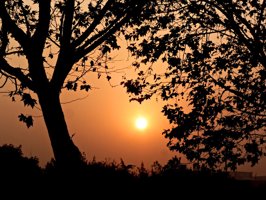 P1040927 - Arbeitskopie 2