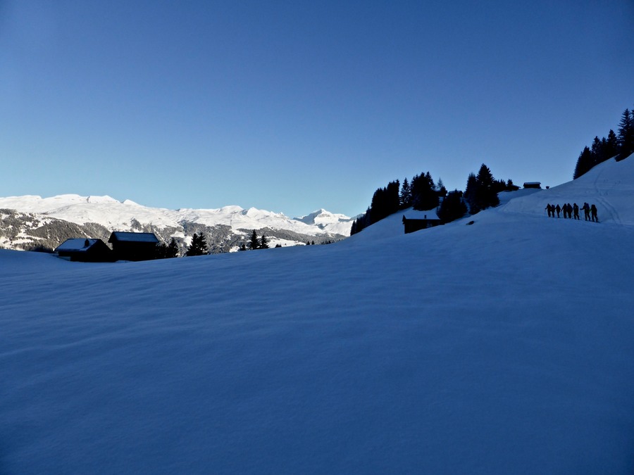 P1060817 - Arbeitskopie 3