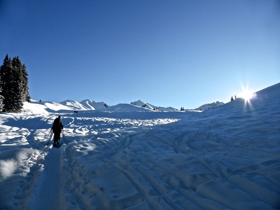 P1060851 - Arbeitskopie 2