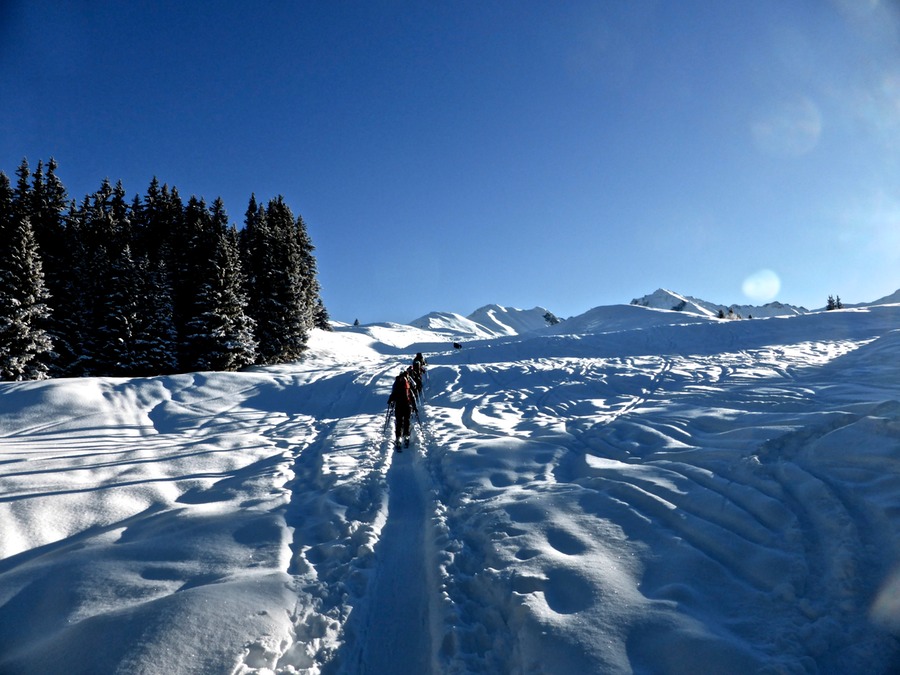 P1060853 - Arbeitskopie 2