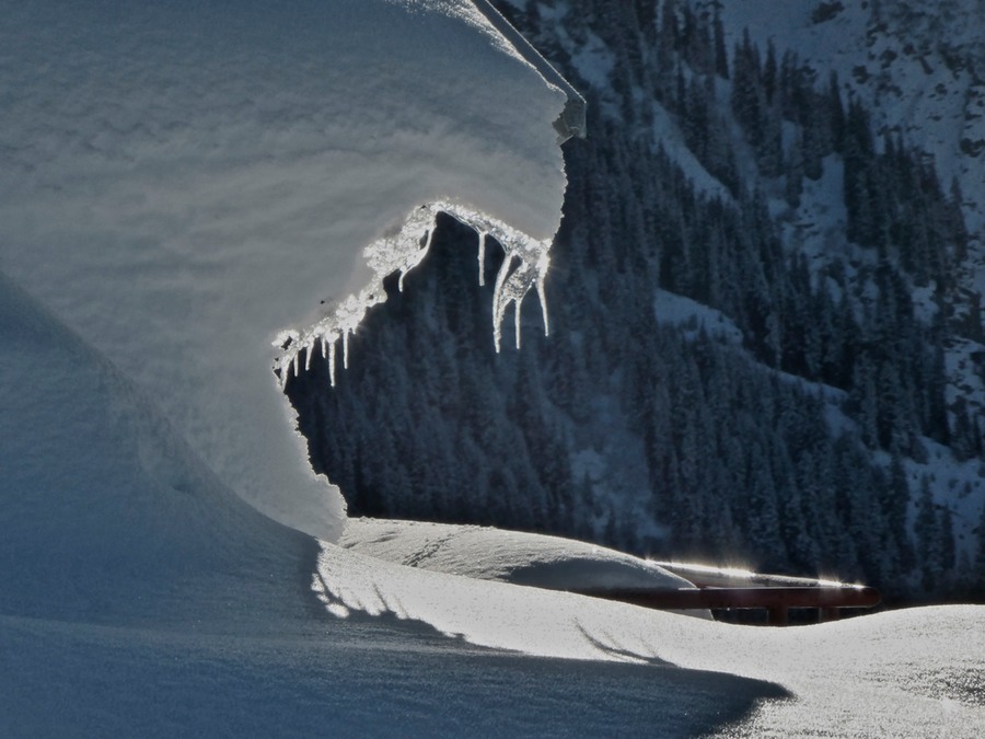 P1060879 - Arbeitskopie 2