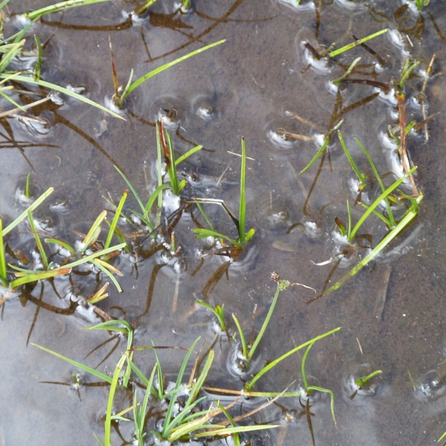 P1100580 - Arbeitskopie 2.jpg