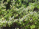 P1100820