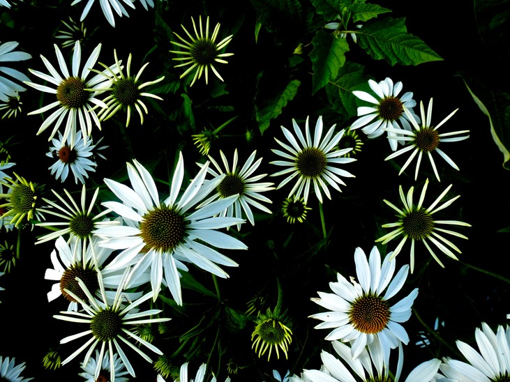 P1140762 - Arbeitskopie 2