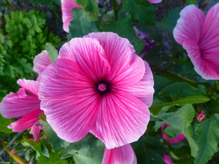 P1140881 - Arbeitskopie 2