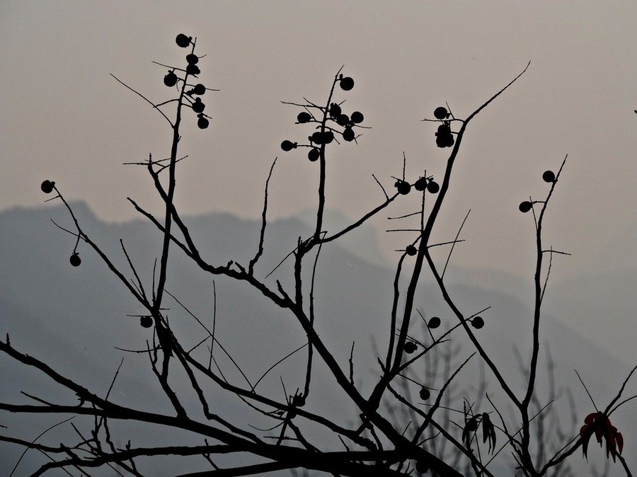 PC030121 - Arbeitskopie 2