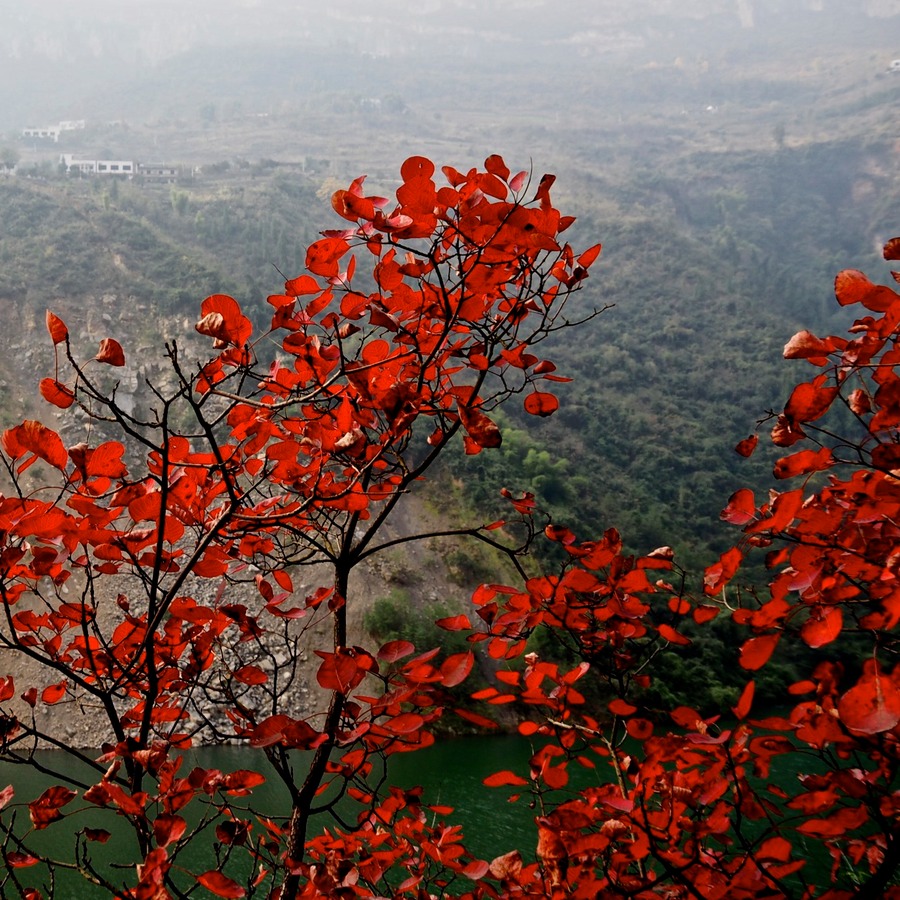 PC040281 - Arbeitskopie 2