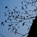 PC040325 - Arbeitskopie 2