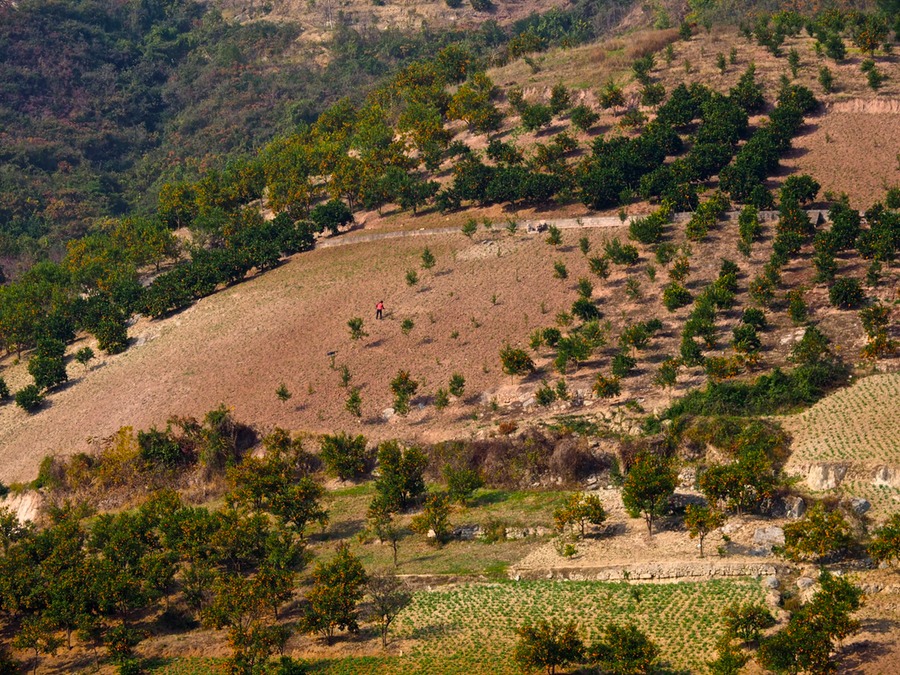 PC040359 - Arbeitskopie 2